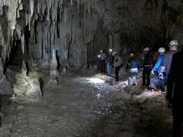 Guided tours are initiated