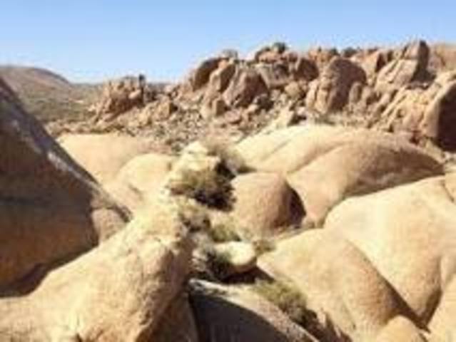 History of Joshua Tree National Park