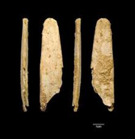 Hueso (Medio de Conteo)