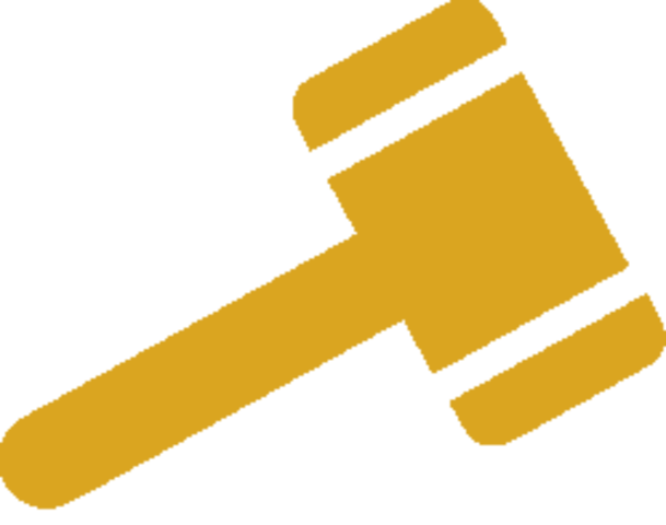 Congressional Investigation