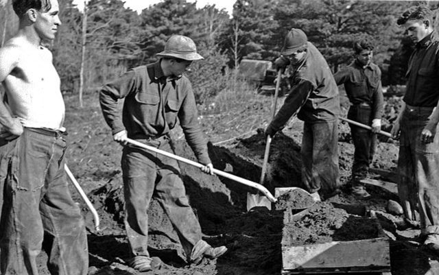 Civilian Conservation Corp (CCC)