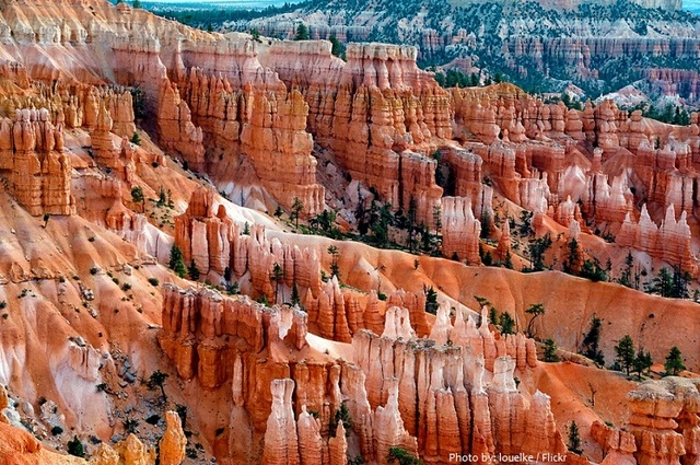 how big/tall are the hoodoos