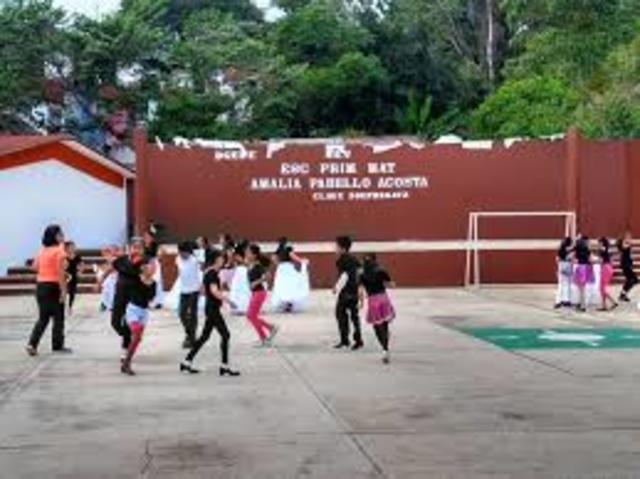 Inicié mis estudios en la Primaria Amalia Pabello Acosta