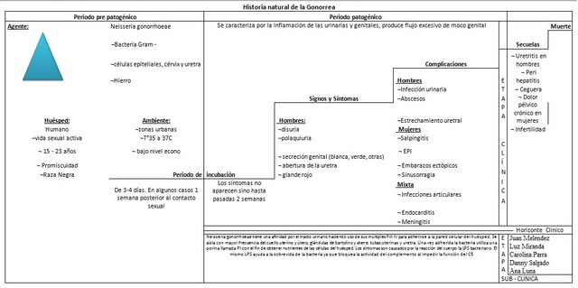 Historia Natural de la Enfermedad