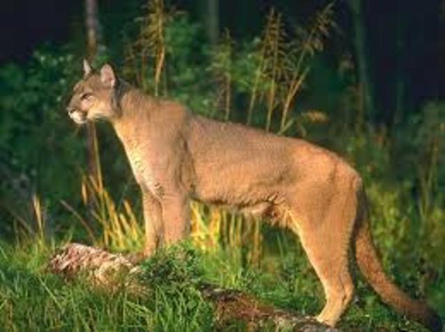 Subsecretaría de Ecología