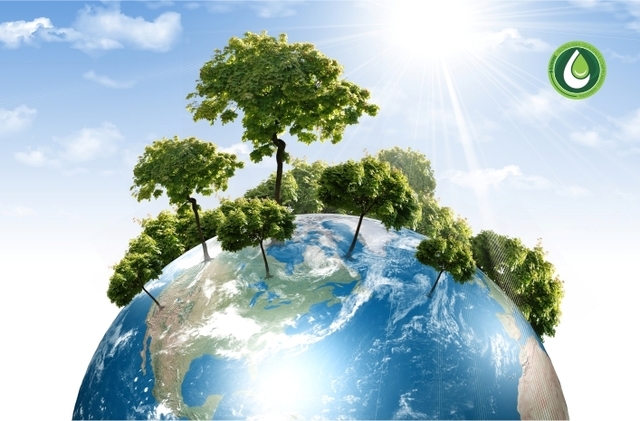 Políticas en México.