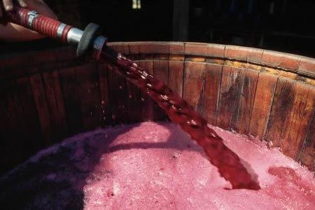 Costos de produccion