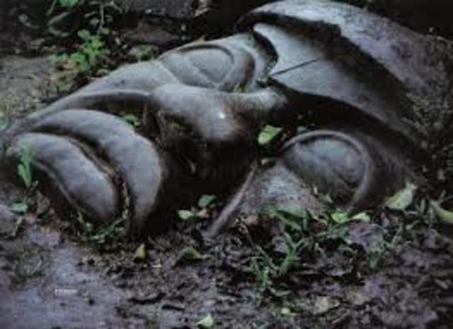 comienza la decadencia de la cultura olmeca