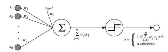 Concepción del Perpceptron