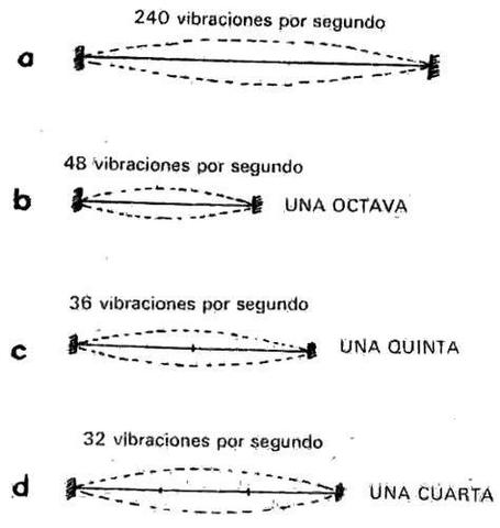 Pitágoras: La ley pitagórica de las cuerdas.