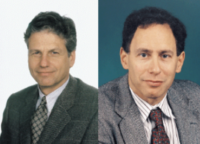 La primera sutura sintética absorbible