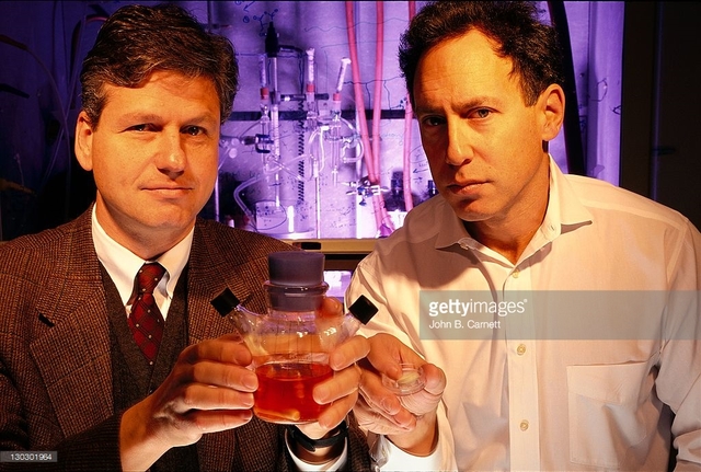 Células hepáticas desarrolladas en una estructura plástica