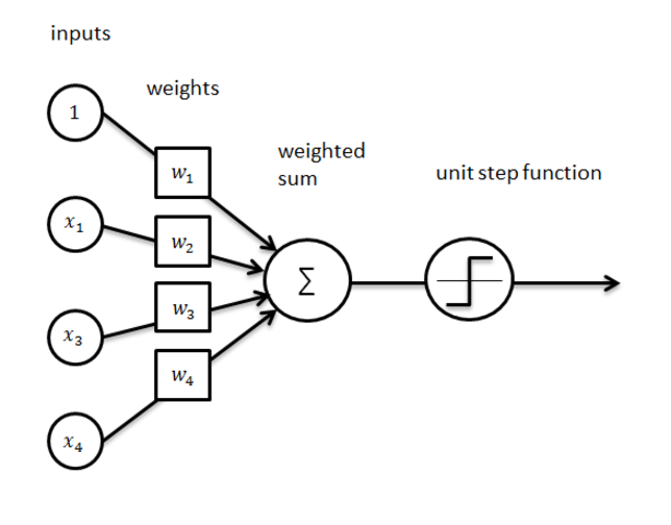 Frank Rosenblatt (Perceptron)