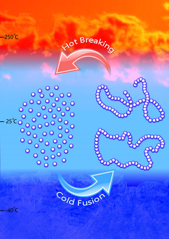 Polímero completamente biodegradable y reciclable
