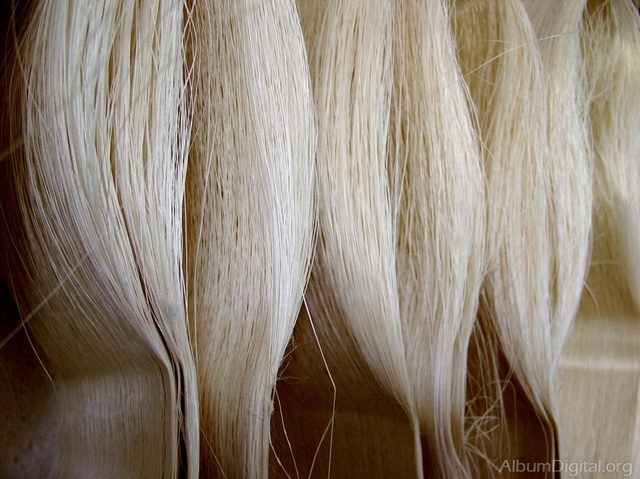 Uso de la Seda en el comercio