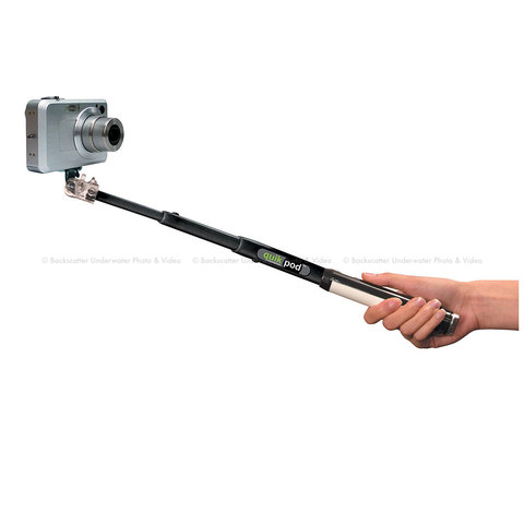 Disponibles en Estados Unidos