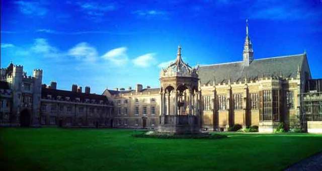 Education in colledge