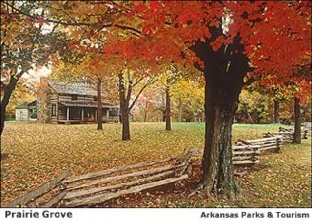 Prairie Grove