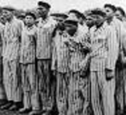 el holocausto nazi