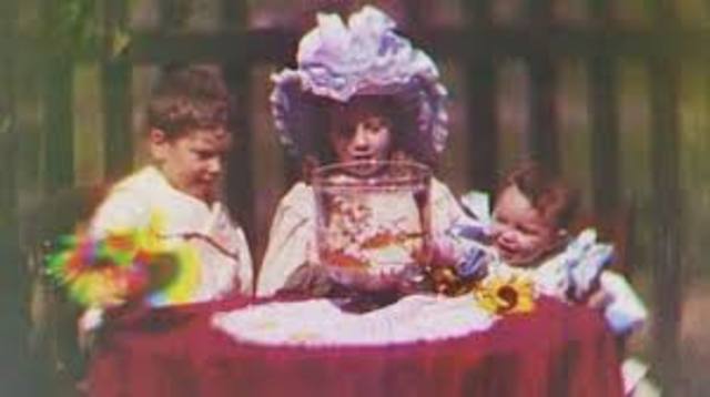 eerste succes voor de kleurenfilm