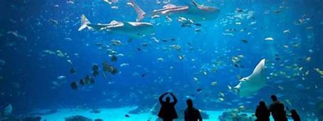 The Aquarium in Atlanta