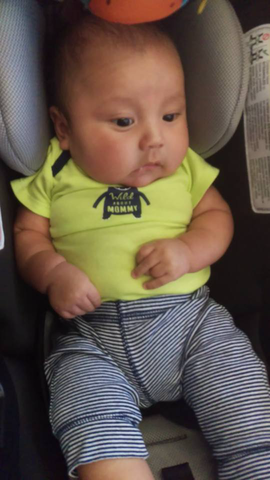 The Birth of My Nephew