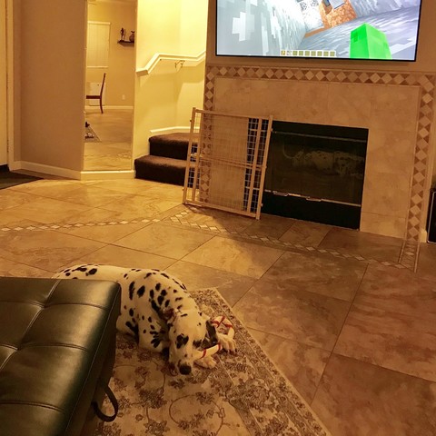 Mis padres compraron una casa en Valencia.