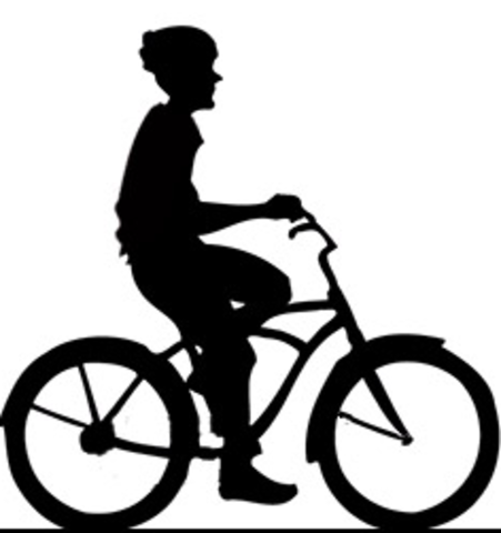 The Truth Will Set you Free