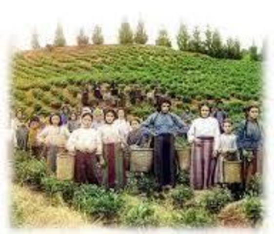 1936 el poder ejecutivo