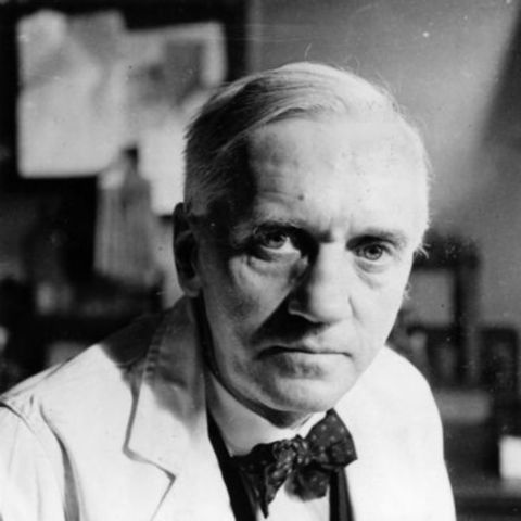 Alexander Fleming. (1881-1955)