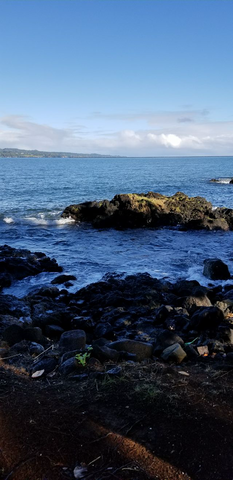 My dad left to Hawaii