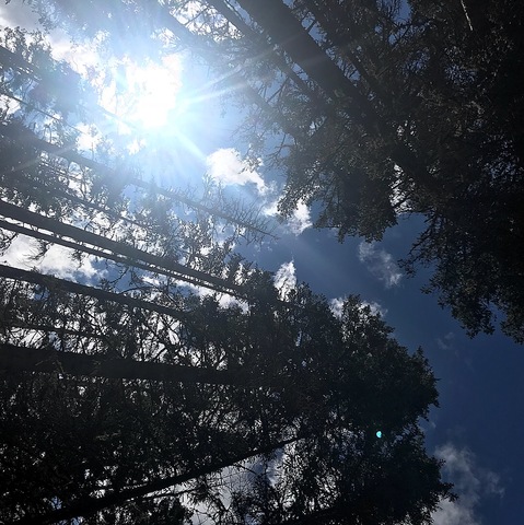 When I first got my drivers liscense