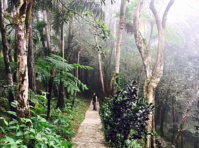 Trip to the Dominican Republic