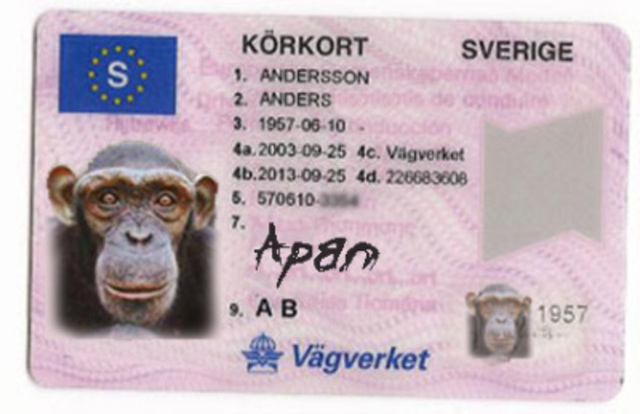 Jag fick körkort.