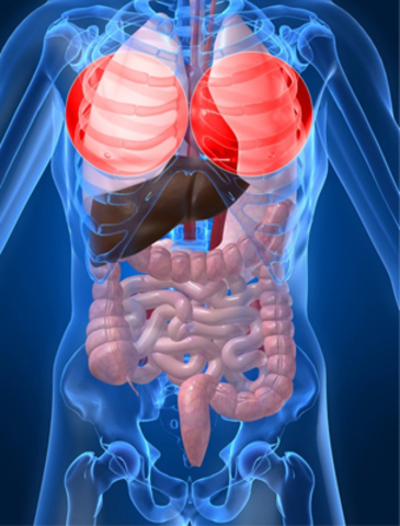 Primer trasplante exitoso de higado y pulmon