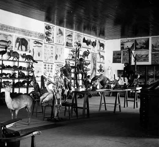 Fundación del Gabinete de Historia Natural.