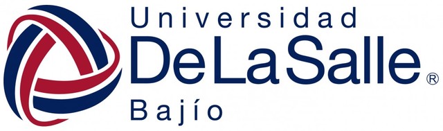 SEGUNDA EXPERIENCIA LABORAL PROFESIONAL