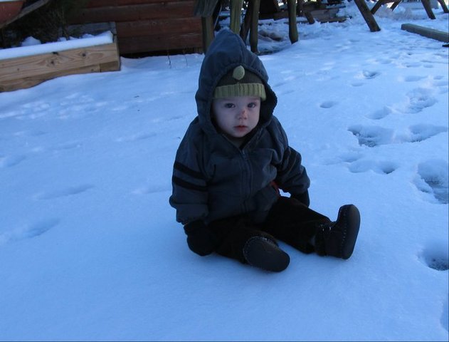 Harley's First Time in The Snow