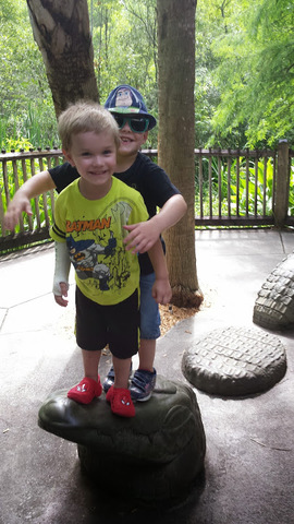 Harley's First Broken Arm