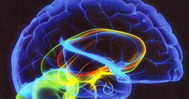 Goldstein; Goleman; Ram Dass; Wilber