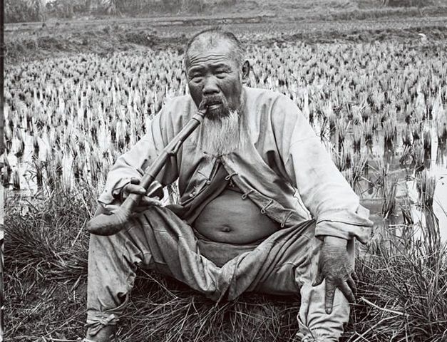 Socio-economic factors