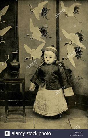 Pu Yi, the new Emperor