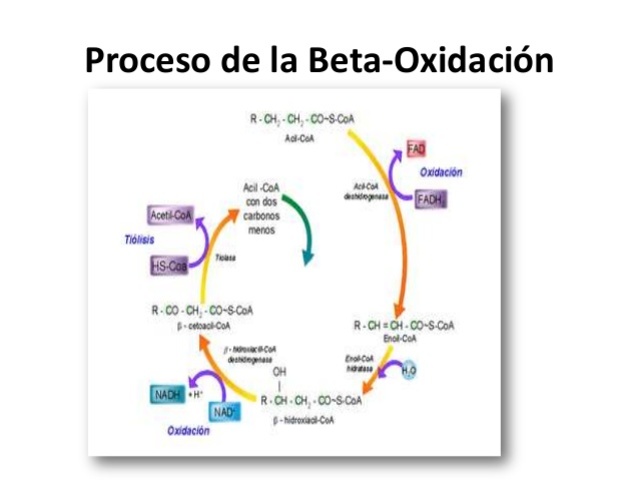 Primeras aparciones de la oxidacion