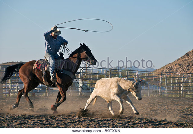 The Standards Movement