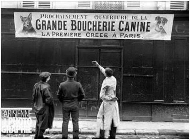 Mercadillo de ratas en la plaza de l’Hôtel-de-Ville.