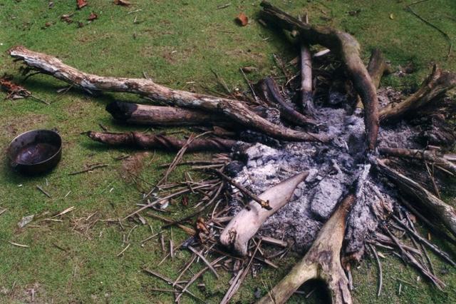 Restes d'una foguera