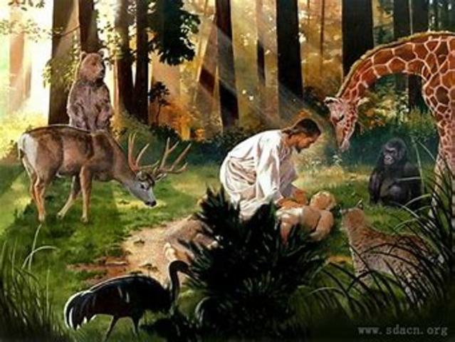 Dias de la creacion.