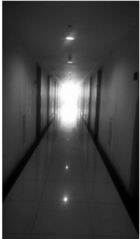 The Song of the Future