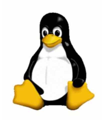 5. El inicio de Linus Torvalds en su trabajo con Linux