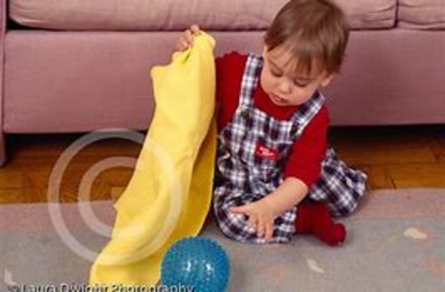 Cognitive Development